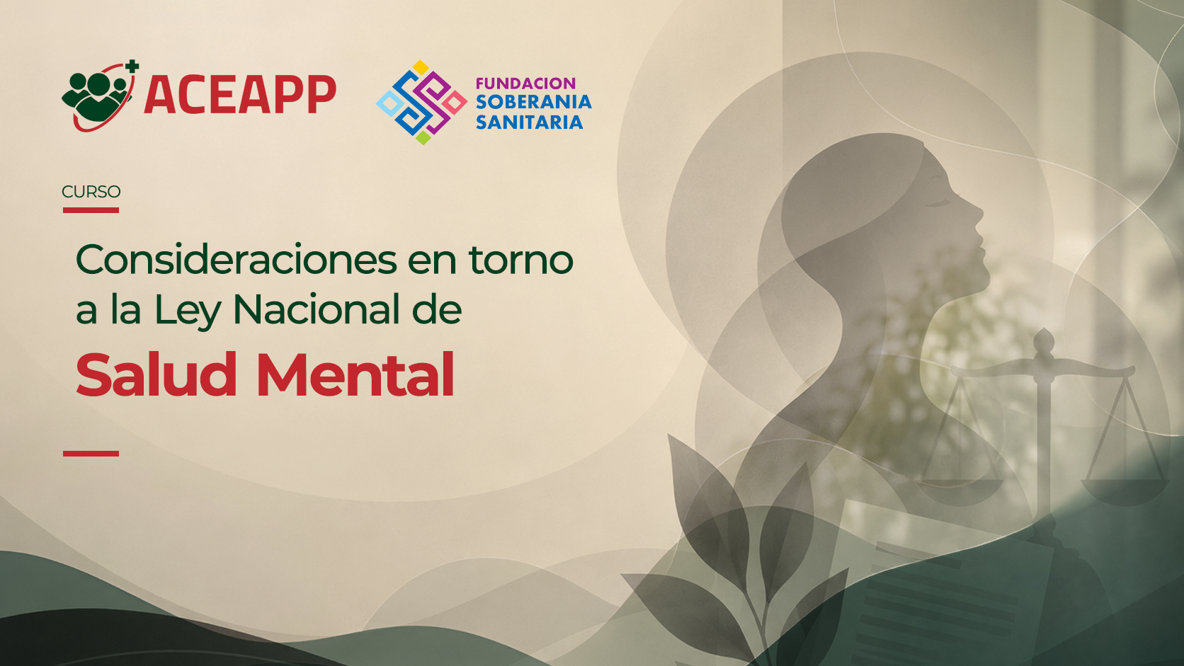 Consideraciones en torno a la ley nacional de salud mental