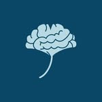 503319105_18064007183123654_1175068252082726135_n